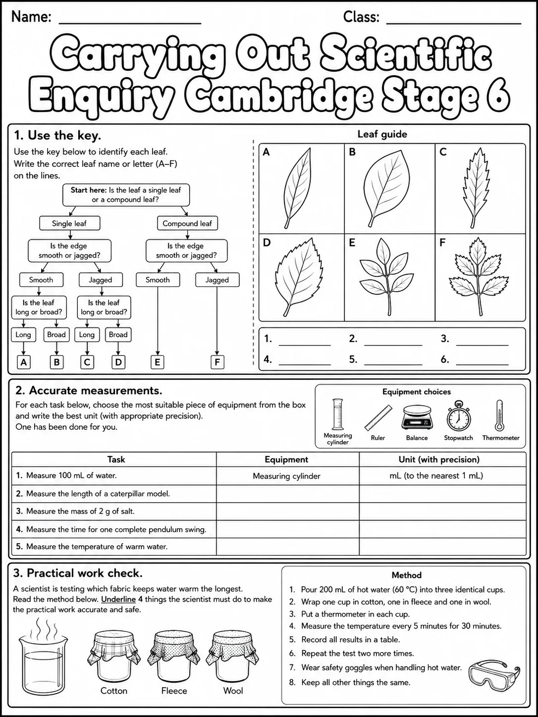 Carrying Out Scientific Enquiry Cambridge Stage 6 page 4 printable Cambridge science worksheet preview