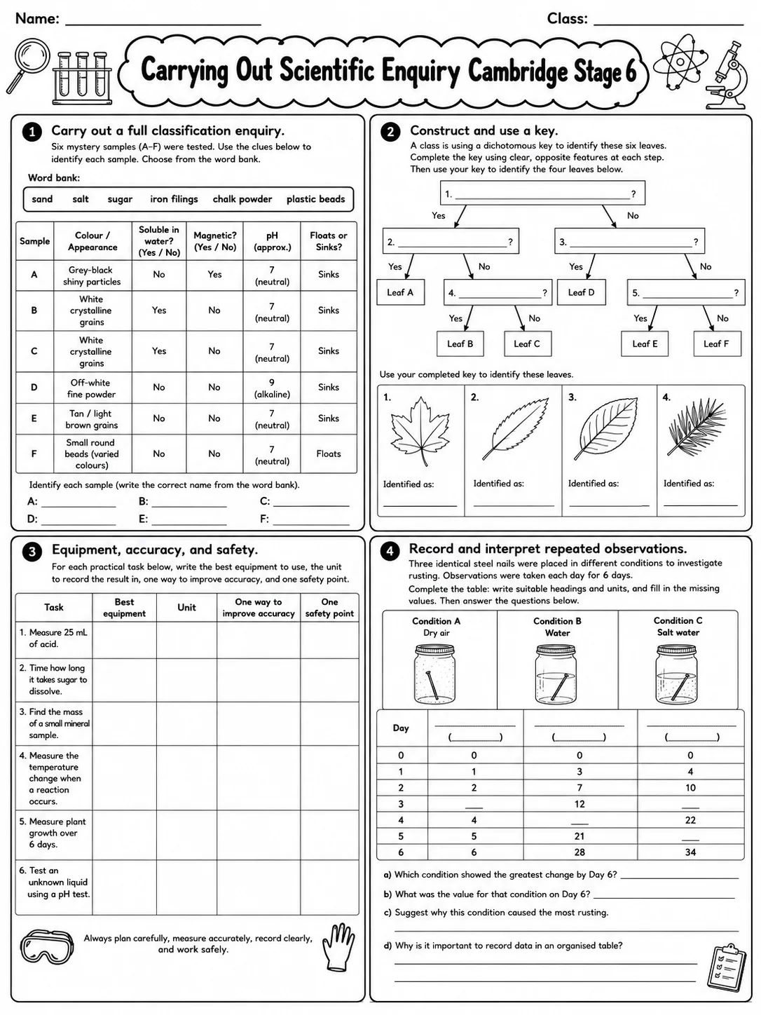 Carrying Out Scientific Enquiry Cambridge Stage 6 page 10 printable Cambridge science worksheet preview