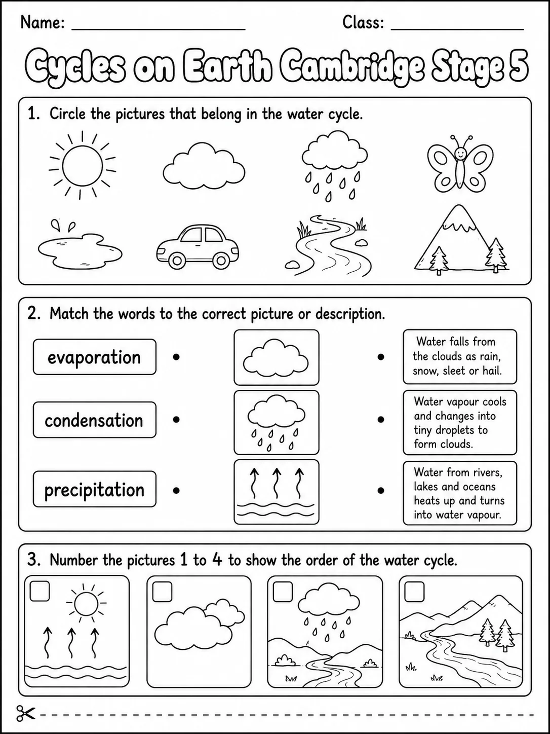 Cycles on Earth Cambridge Stage 5 printable Cambridge Primary Science Stage 5 worksheet preview from KiwiBee