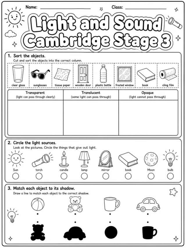 Light and Sound Cambridge Stage 3