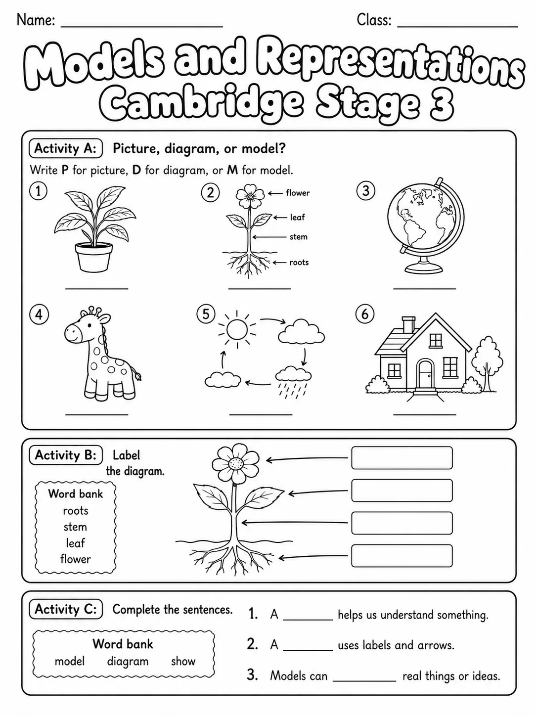 Models and Representations Cambridge Stage 3 page 2 printable Cambridge science worksheet preview