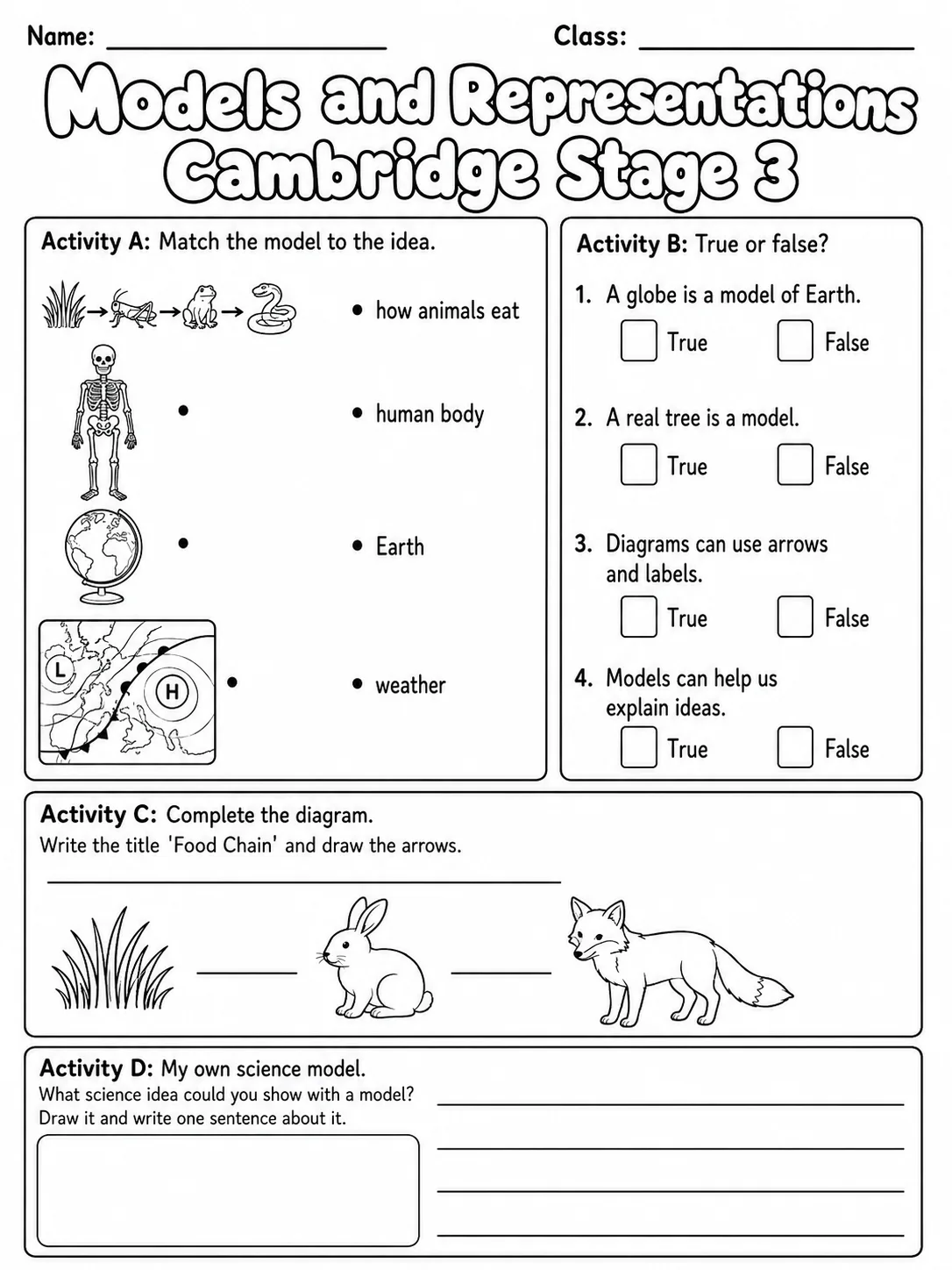 Models and Representations Cambridge Stage 3 page 5 printable Cambridge science worksheet preview