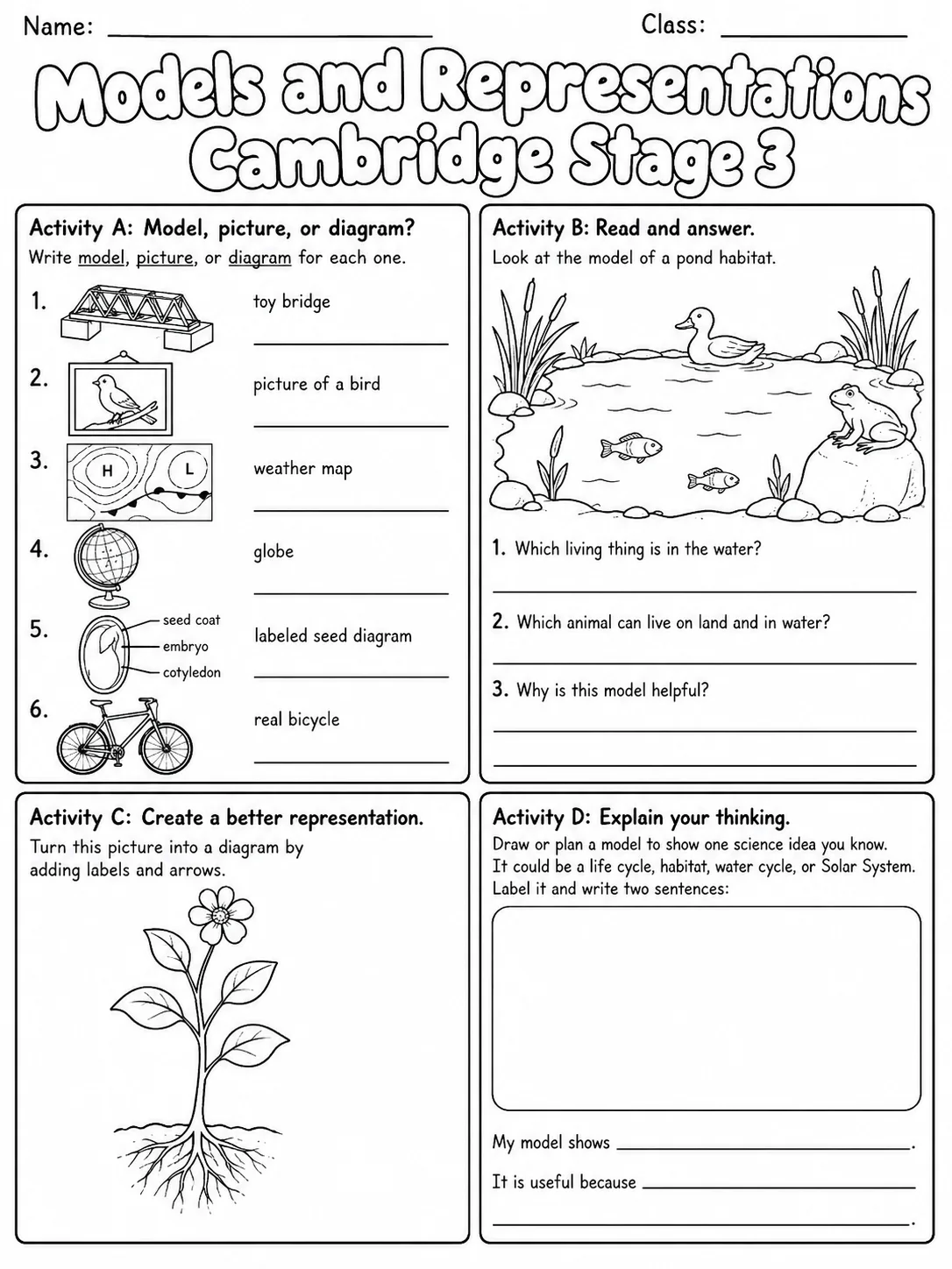 Models and Representations Cambridge Stage 3 page 10 printable Cambridge science worksheet preview