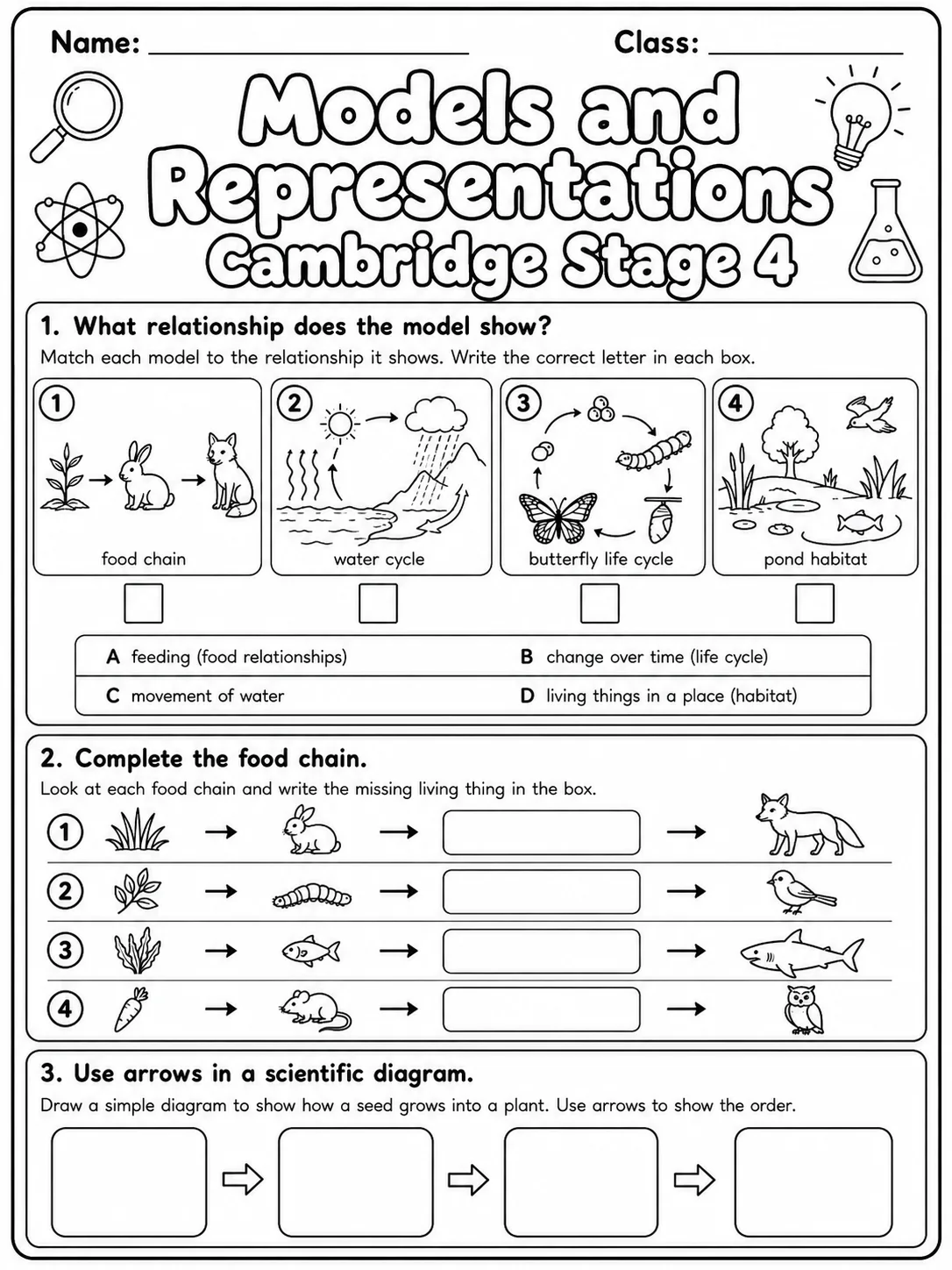 Models and Representations Cambridge Stage 4 printable Cambridge Primary Science Stage 4 worksheet preview from KiwiBee