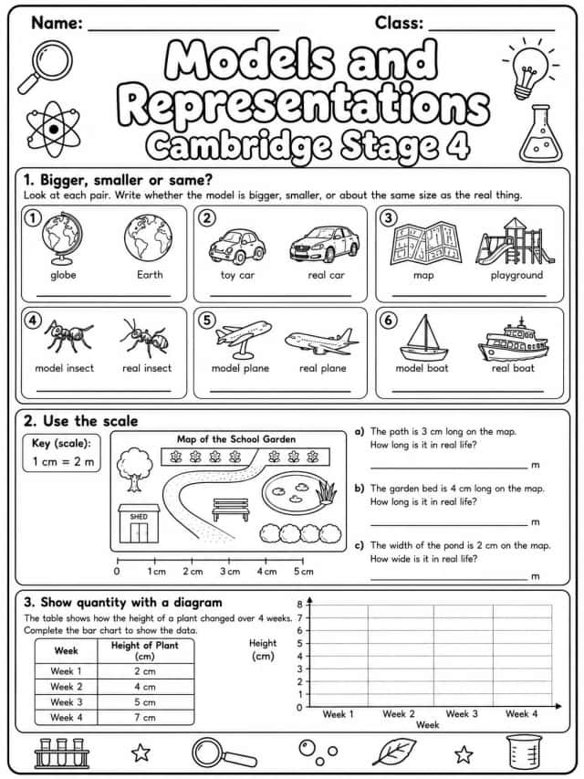 Models and Representations Cambridge Stage 4
