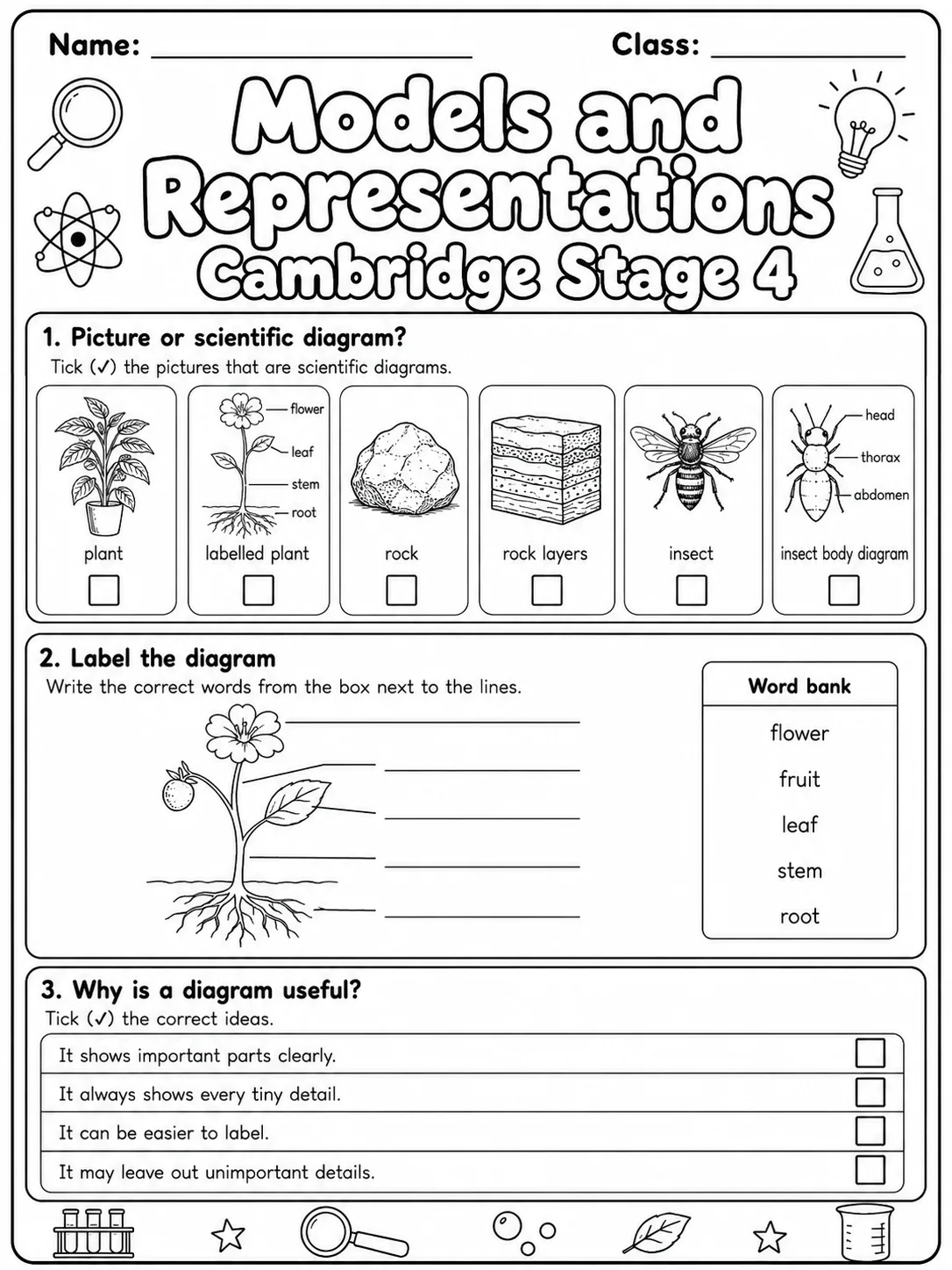 Models and Representations Cambridge Stage 4 printable Cambridge Primary Science Stage 4 worksheet preview from KiwiBee