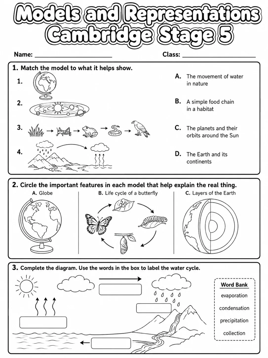 Models and Representations Cambridge Stage 5 printable Cambridge Primary Science Stage 5 worksheet preview from KiwiBee