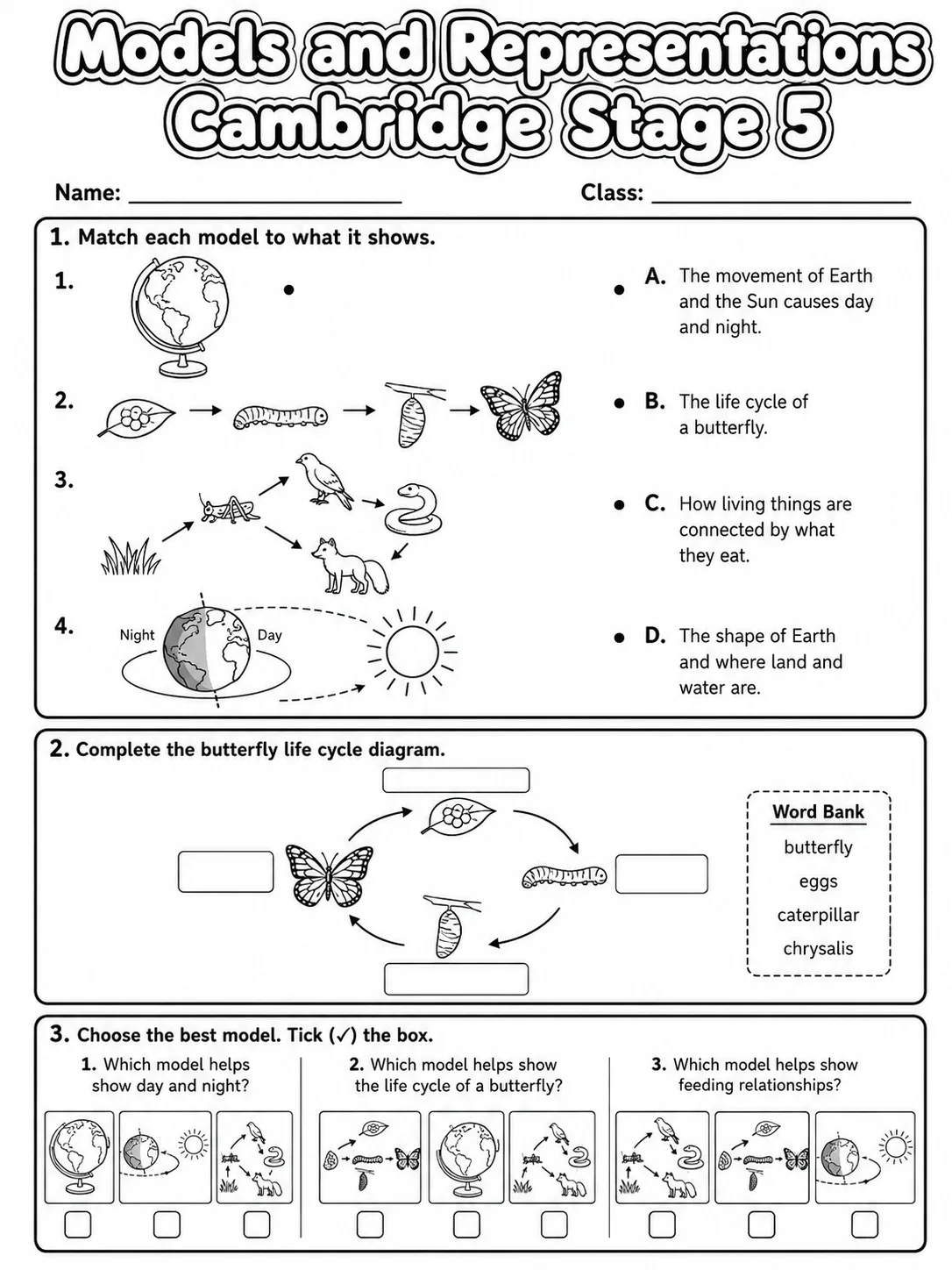 Models and Representations Cambridge Stage 5 page 2 printable Cambridge science worksheet preview