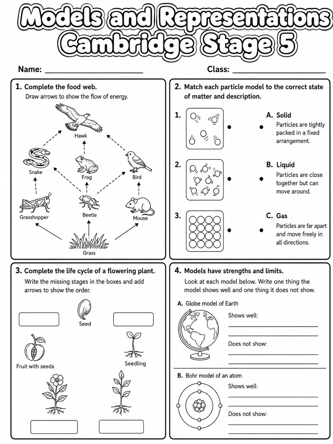 Models and Representations Cambridge Stage 5 page 8 printable Cambridge science worksheet preview