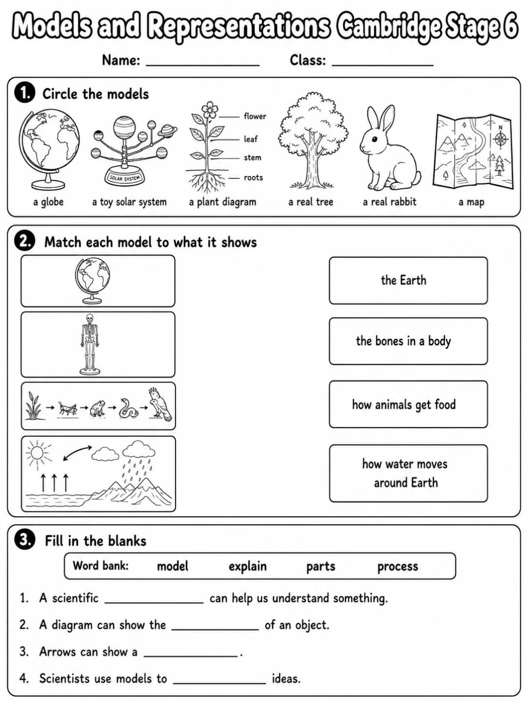 Models and Representations Cambridge Stage 6 printable Cambridge Primary Science Stage 6 worksheet preview from KiwiBee