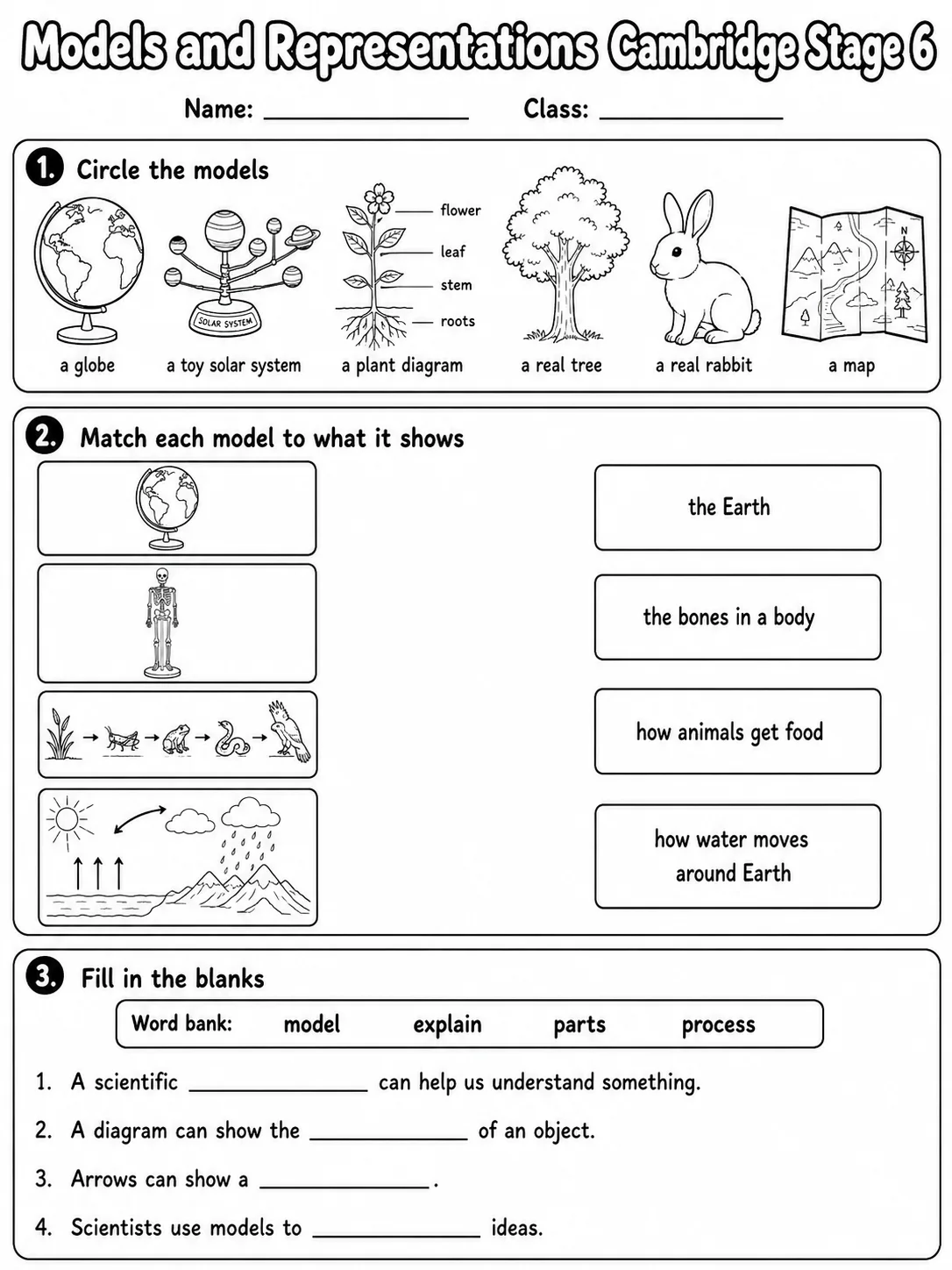 Models and Representations Cambridge Stage 6 printable Cambridge Primary Science Stage 6 worksheet preview from KiwiBee