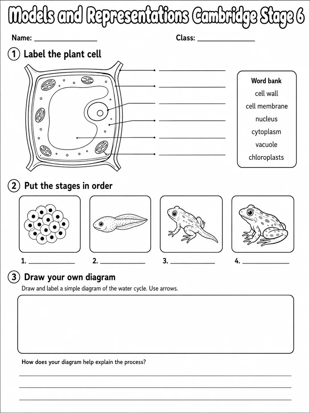 Models and Representations Cambridge Stage 6 page 4 printable Cambridge science worksheet preview