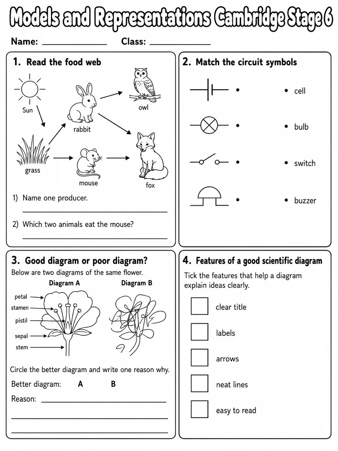 Models and Representations Cambridge Stage 6 page 5 printable Cambridge science worksheet preview