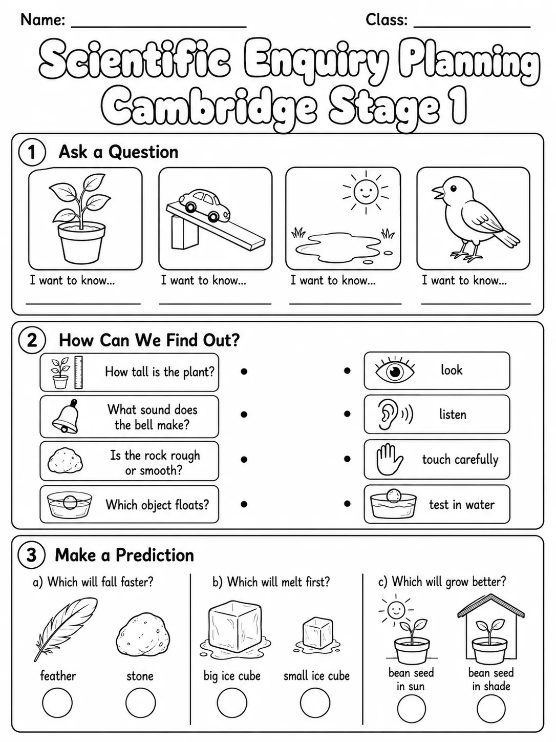 Scientific Enquiry Planning Cambridge Stage 1 printable Cambridge Primary Science Stage 1 worksheet preview from KiwiBee
