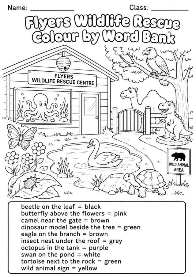 Wildlife Rescue Flyers Color by Word Bank Worksheet Pack