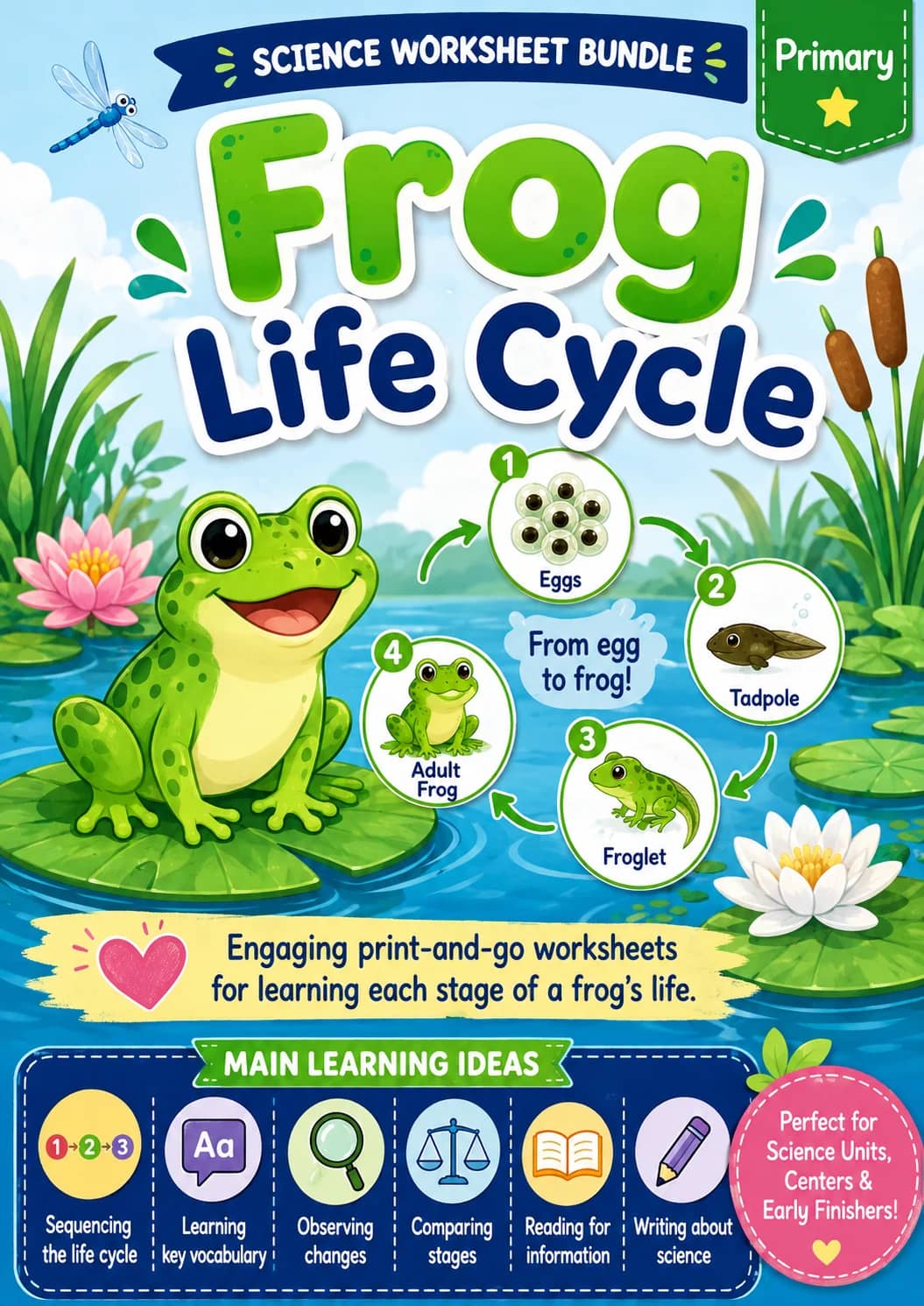 Frog Life Cycle Worksheet Pack printable cover