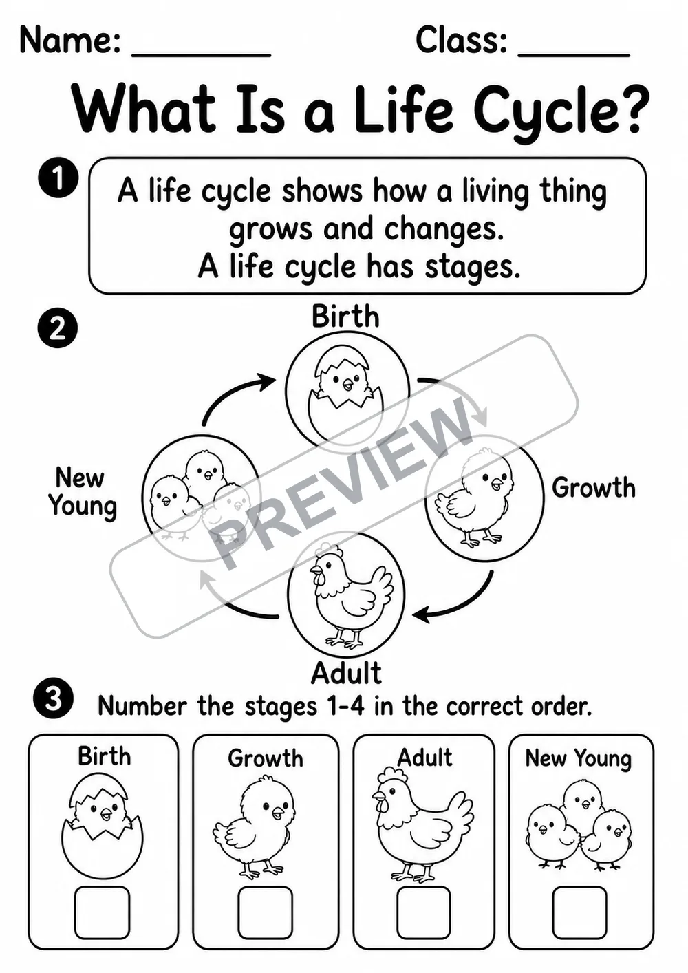 Animal Life Cycles Mega Pack | 9 Worksheets | Grades 1-3 watermarked worksheet preview