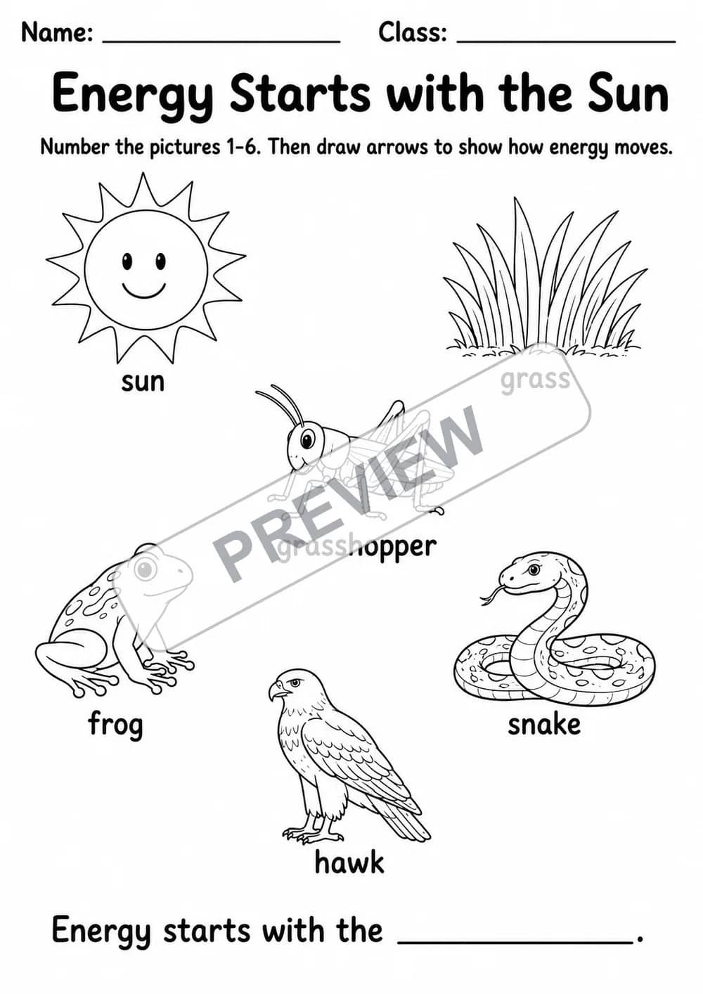 Food Chains and Food Webs Pack | 7 Worksheets | Grades 3-5 watermarked worksheet preview