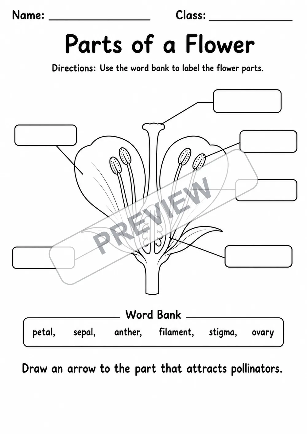 Parts of a Flower Labeling Worksheet | 1 Page | Grades 2-3 watermarked worksheet preview