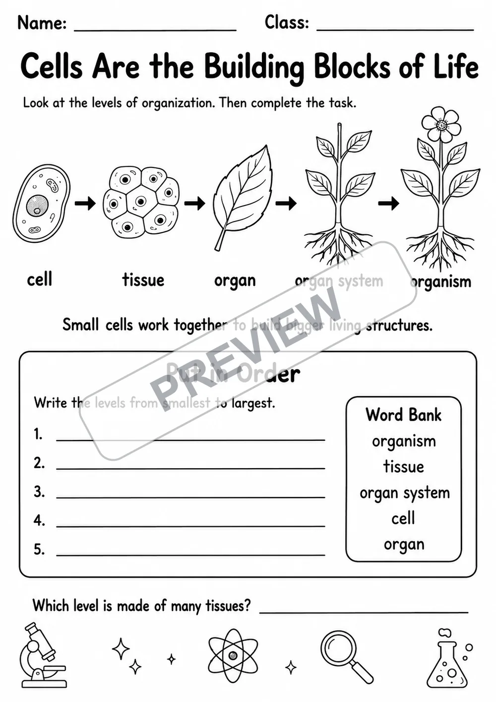 Plant and Animal Cells Visual Pack | 9 Worksheets | Grades 4-6 watermarked worksheet preview