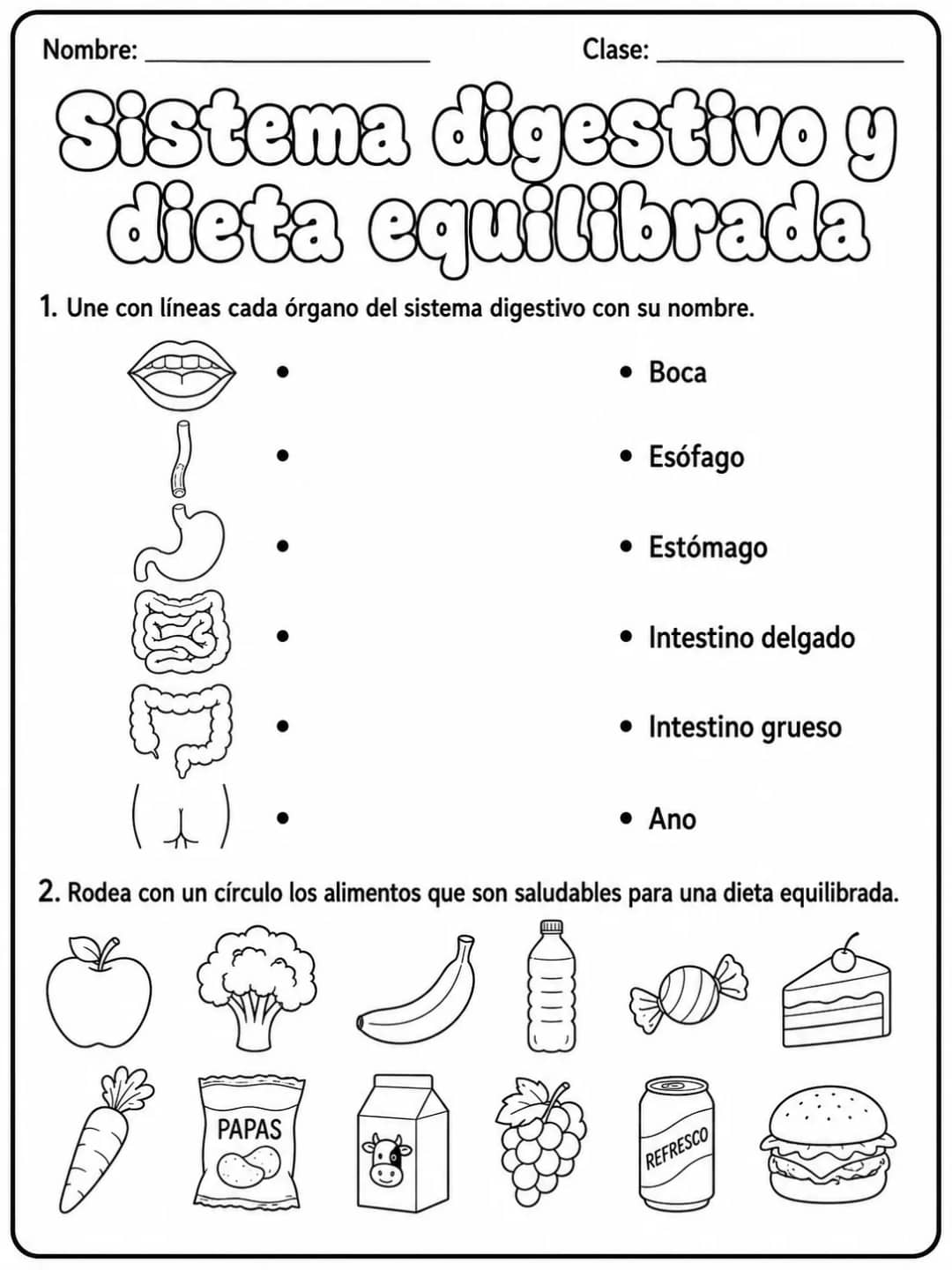 1.º grado - cuerpo humano y salud - Paquete de fichas - Conjunto 2 vista previa imprimible de ciencias en KiwiBee