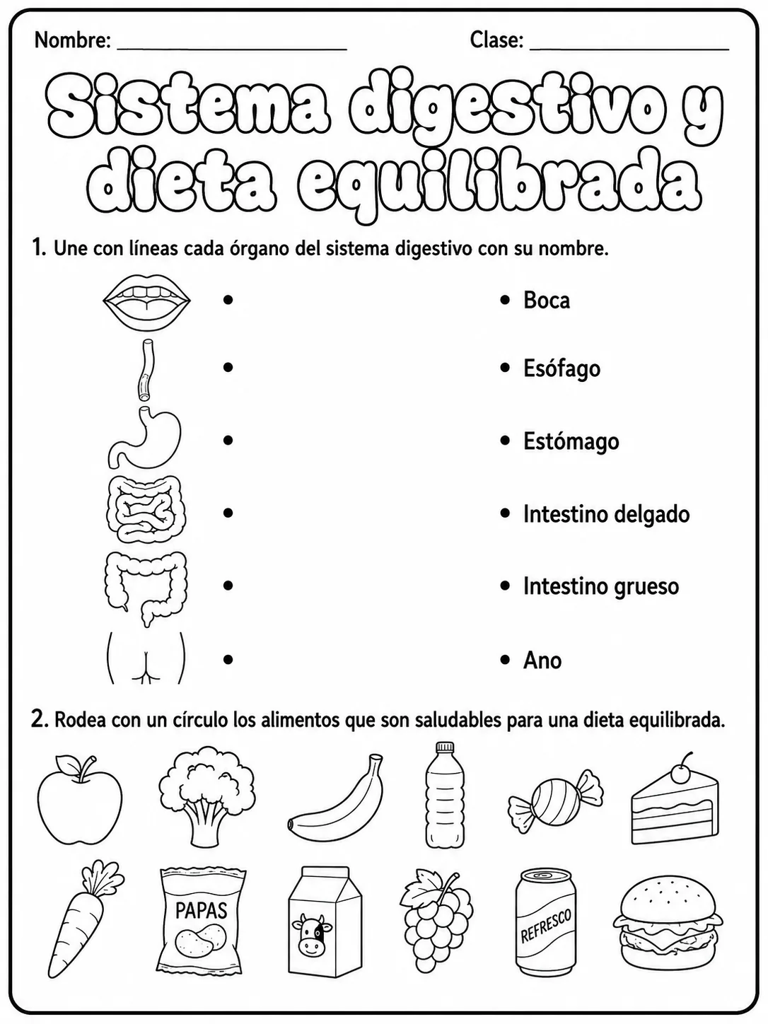1.º grado - cuerpo humano y salud - Paquete de fichas - Conjunto 2 vista previa imprimible de ciencias en KiwiBee