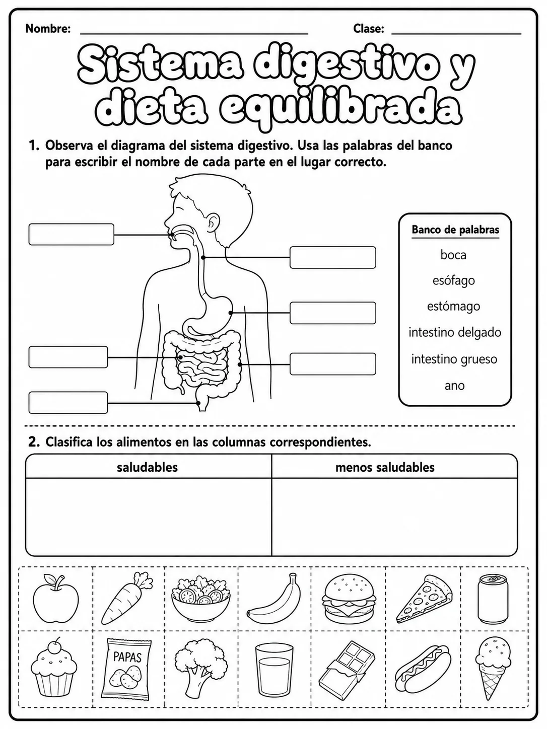 1.º grado - cuerpo humano y salud - Paquete de fichas - Conjunto 2 página 2 vista previa imprimible