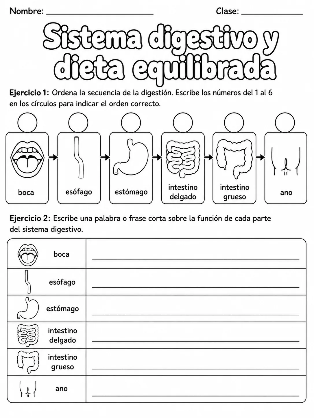 1.º grado - cuerpo humano y salud - Paquete de fichas - Conjunto 2 página 3 vista previa imprimible