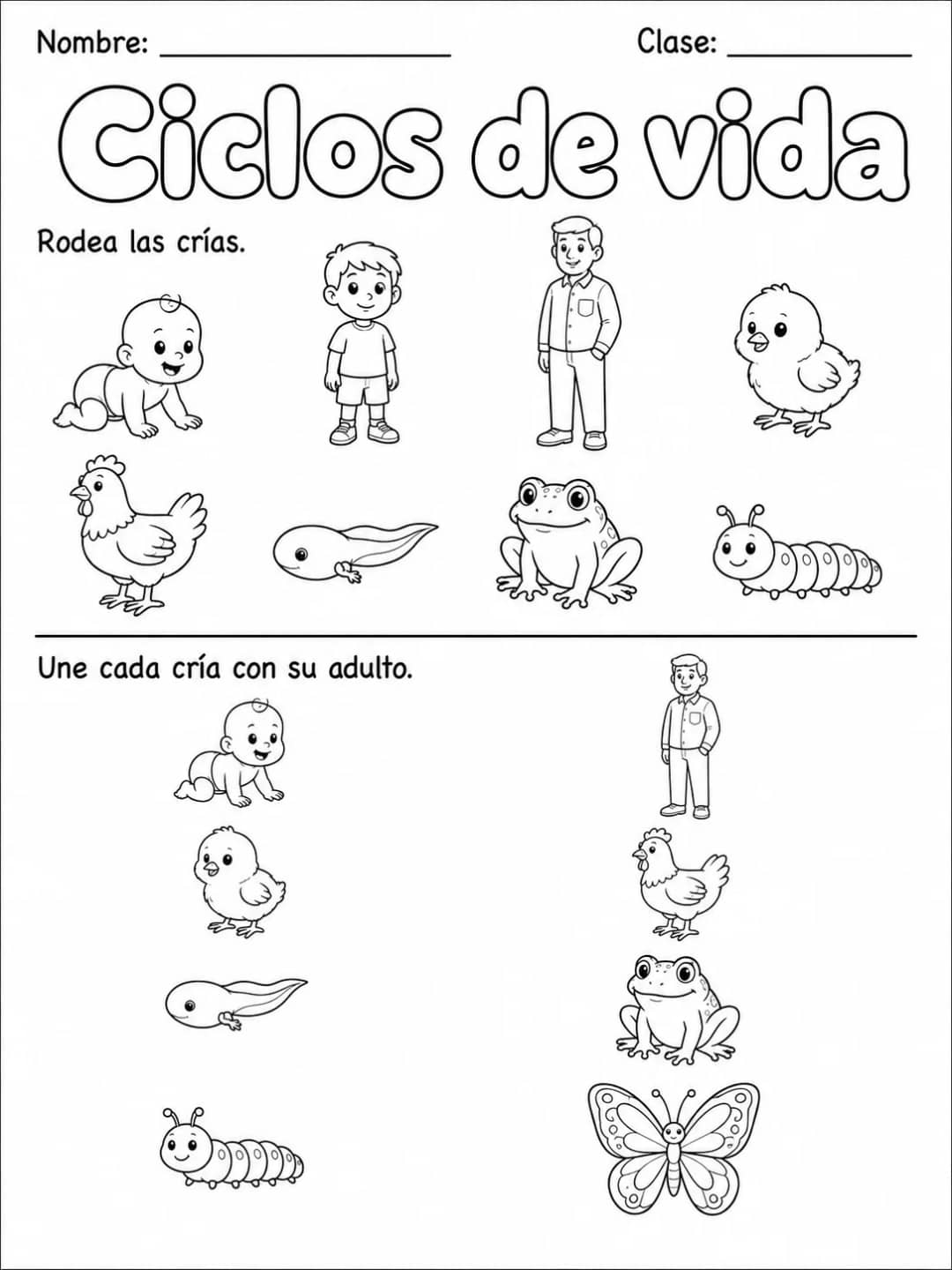 1.º grado - cuerpo humano y salud - Paquete de fichas - Conjunto 3 vista previa imprimible de ciencias en KiwiBee
