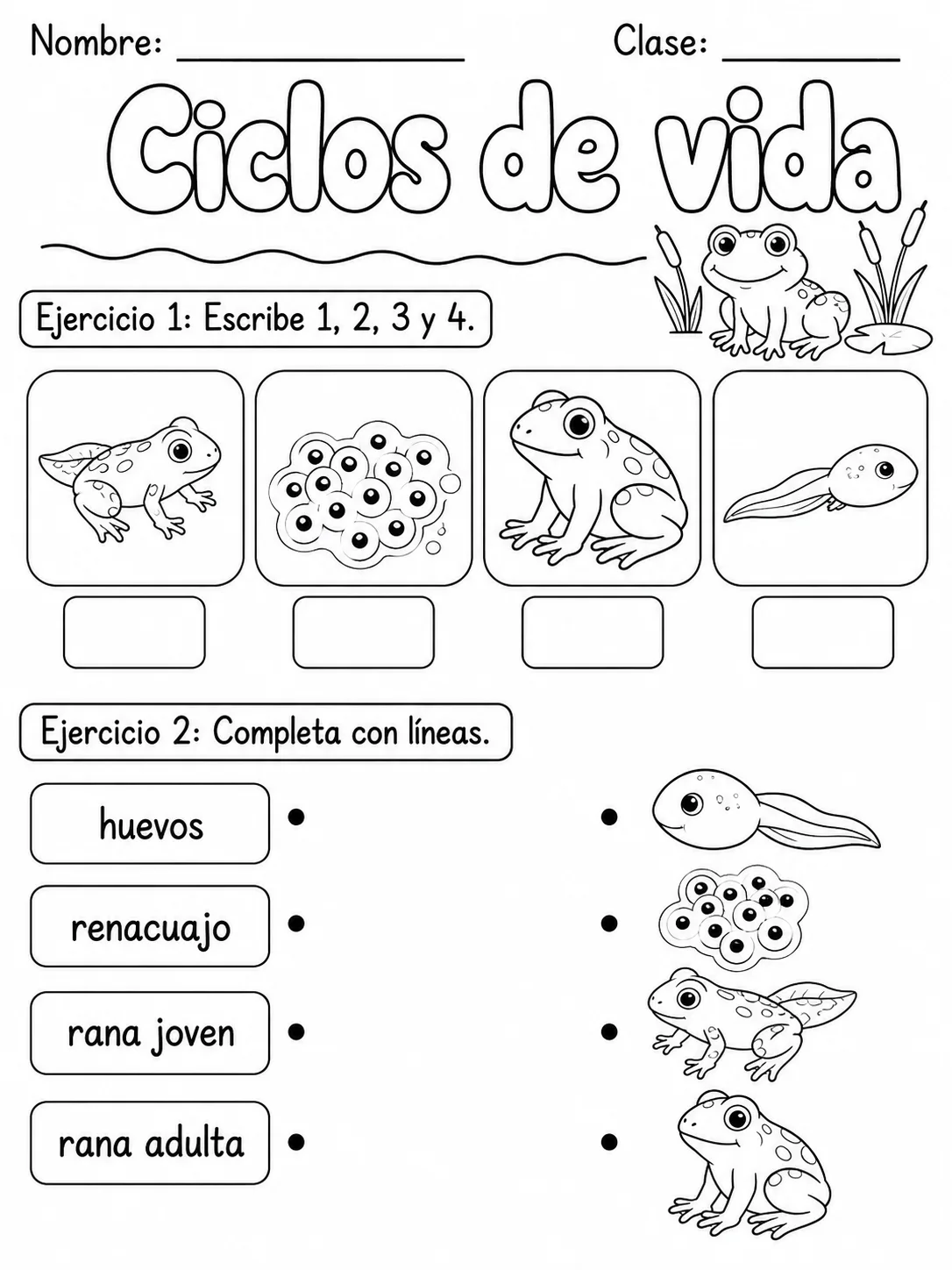 1.º grado - cuerpo humano y salud - Paquete de fichas - Conjunto 3 página 3 vista previa imprimible