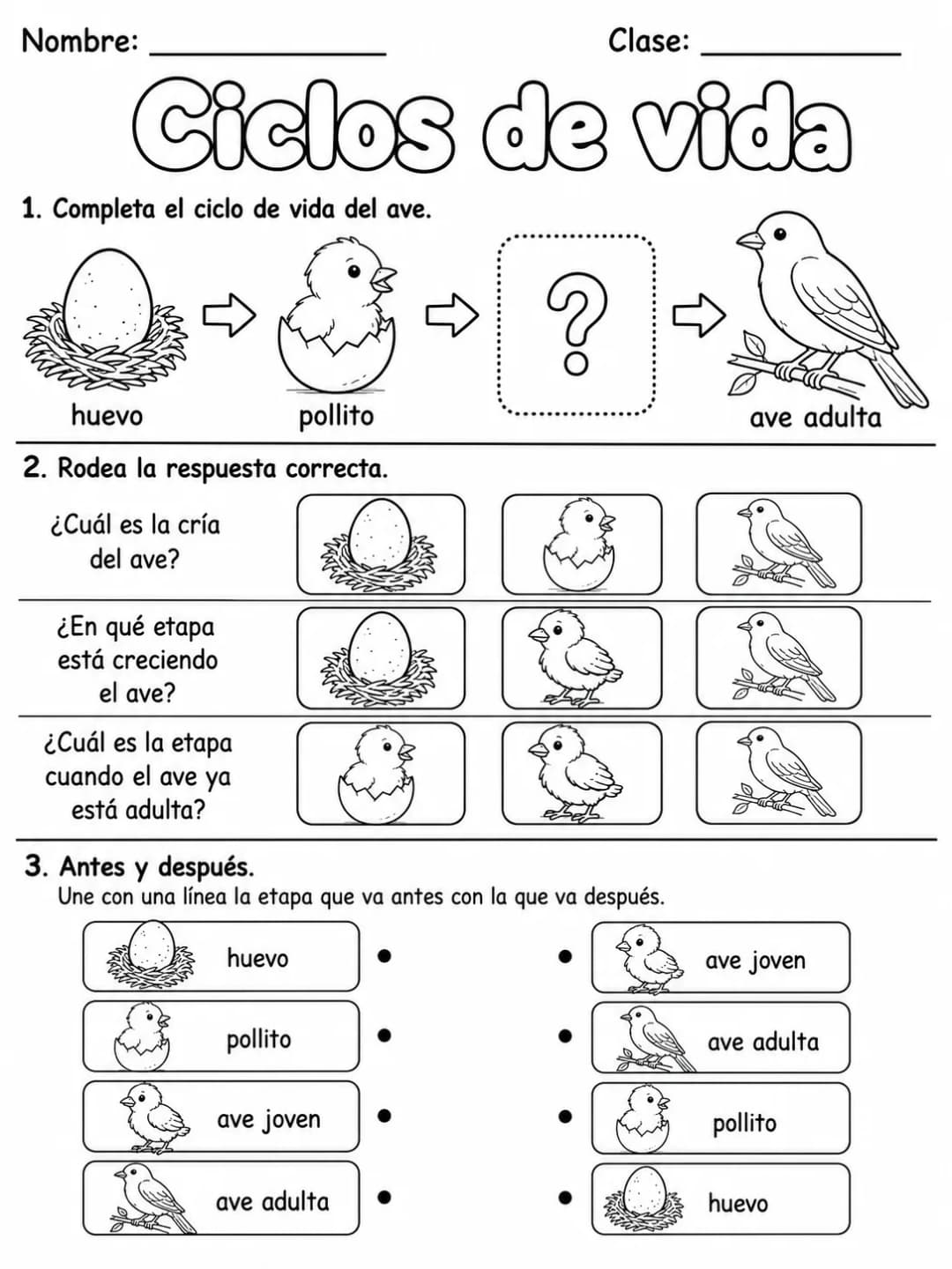 1.º grado - cuerpo humano y salud - Paquete de fichas - Conjunto 3 página 5 vista previa imprimible