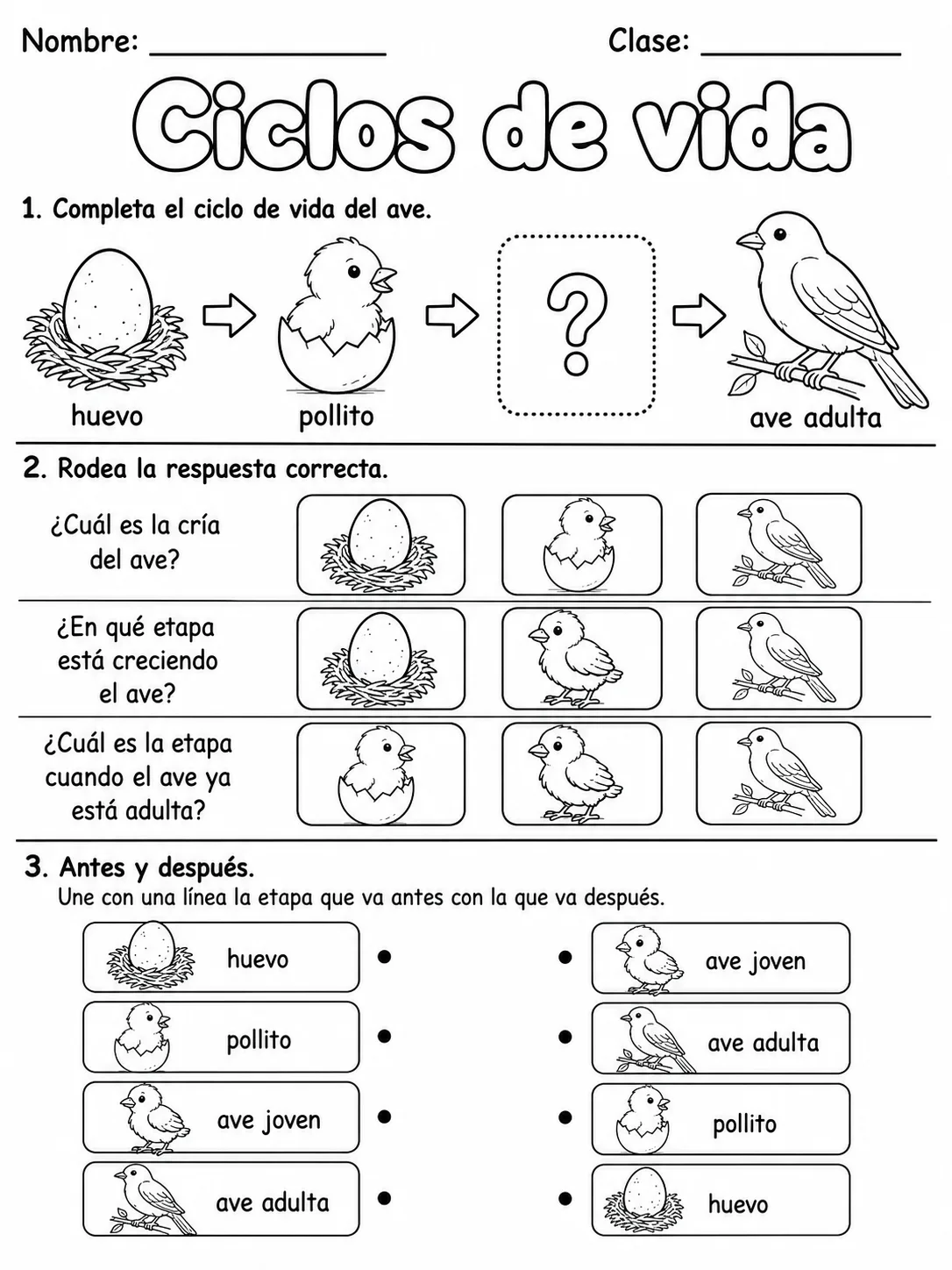 1.º grado - cuerpo humano y salud - Paquete de fichas - Conjunto 3 página 5 vista previa imprimible