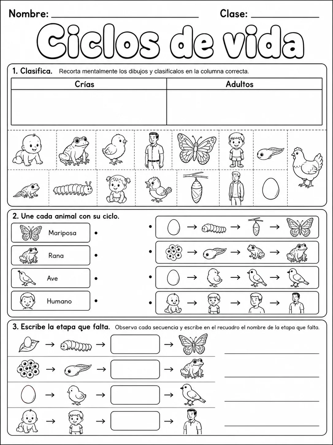 1.º grado - cuerpo humano y salud - Paquete de fichas - Conjunto 3 página 6 vista previa imprimible