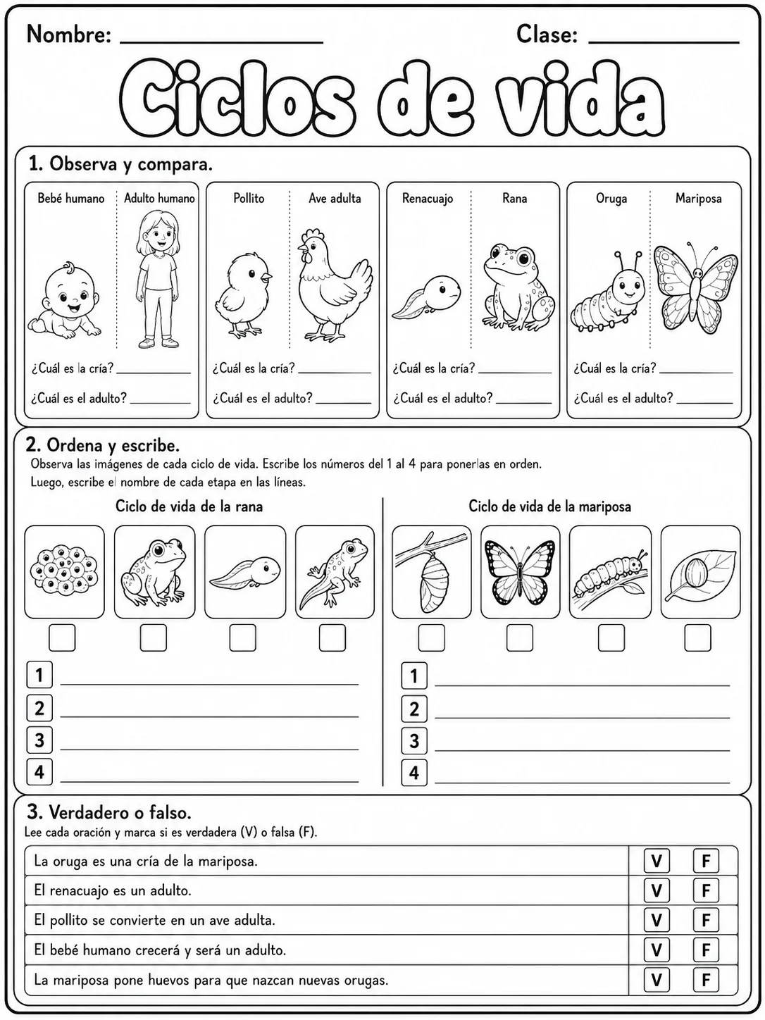 1.º grado - cuerpo humano y salud - Paquete de fichas - Conjunto 3 página 7 vista previa imprimible