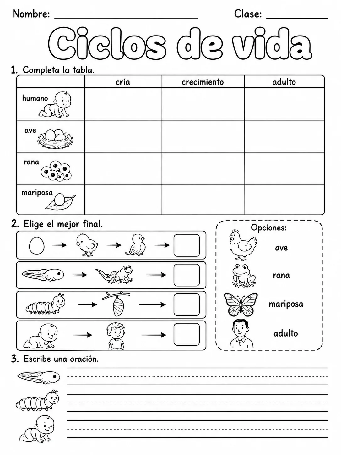 1.º grado - cuerpo humano y salud - Paquete de fichas - Conjunto 3 página 8 vista previa imprimible