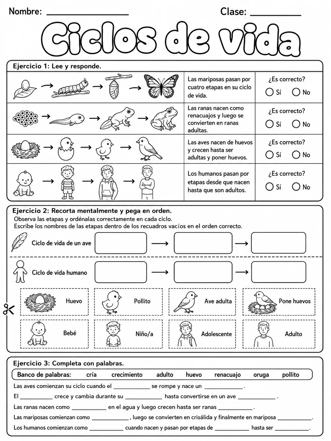 1.º grado - cuerpo humano y salud - Paquete de fichas - Conjunto 3 página 9 vista previa imprimible