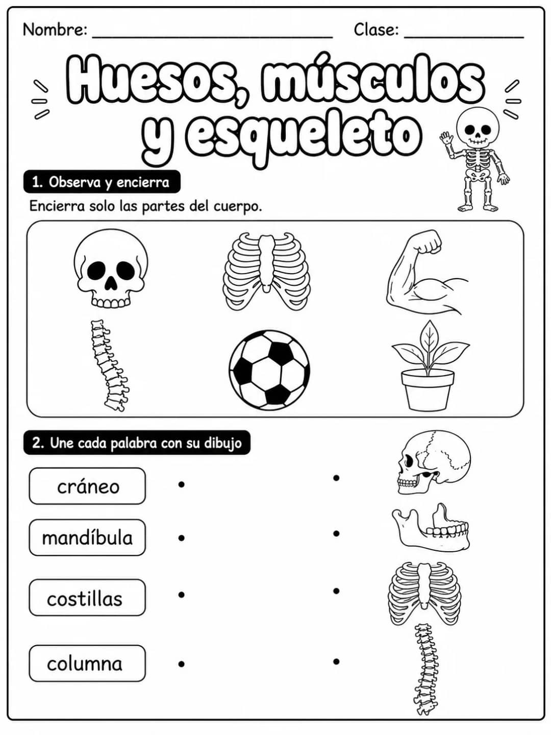 1.º grado - cuerpo humano y salud - Paquete de fichas - Conjunto 4 vista previa imprimible de ciencias en KiwiBee