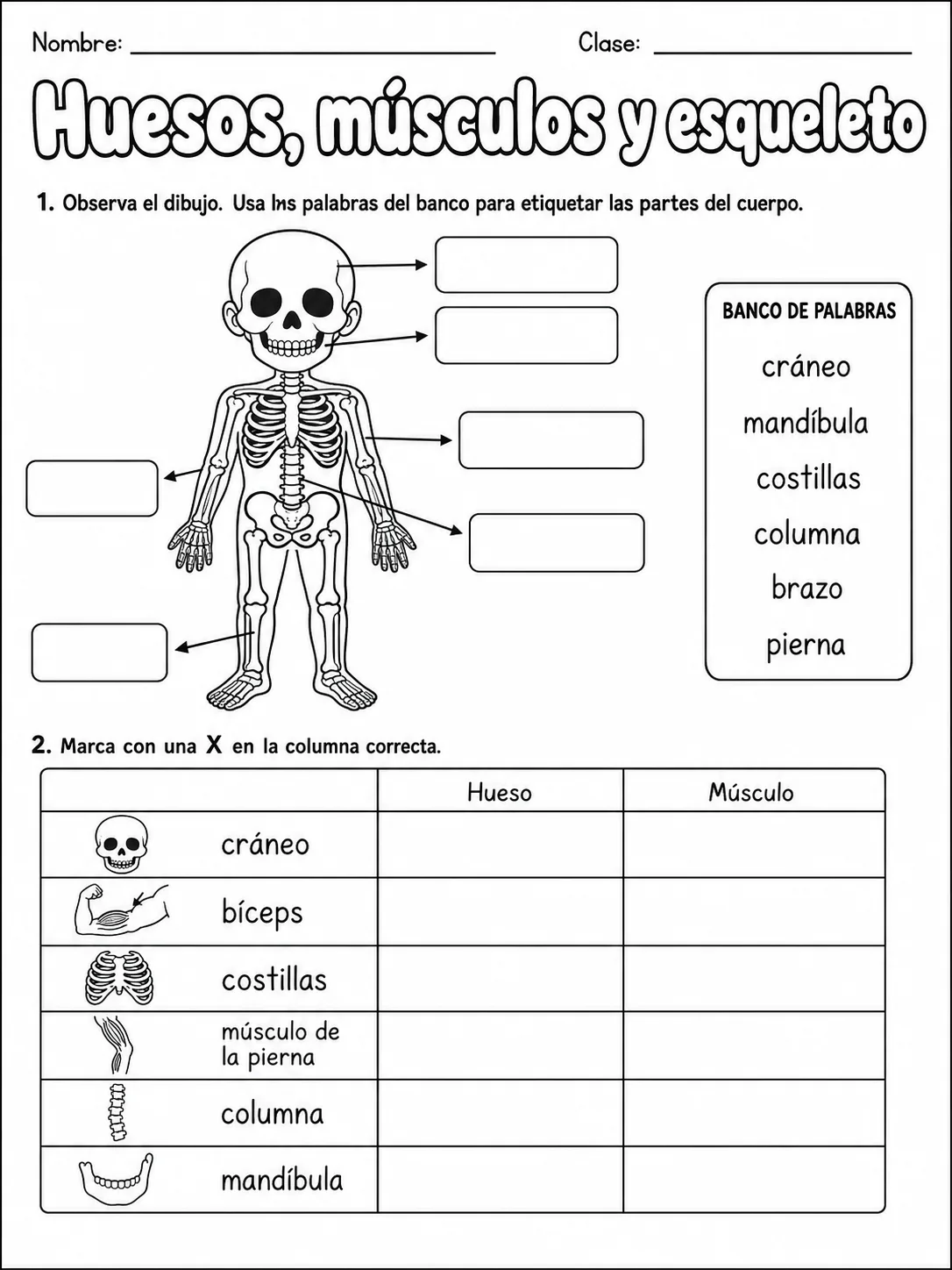 1.º grado - cuerpo humano y salud - Paquete de fichas - Conjunto 4 página 2 vista previa imprimible