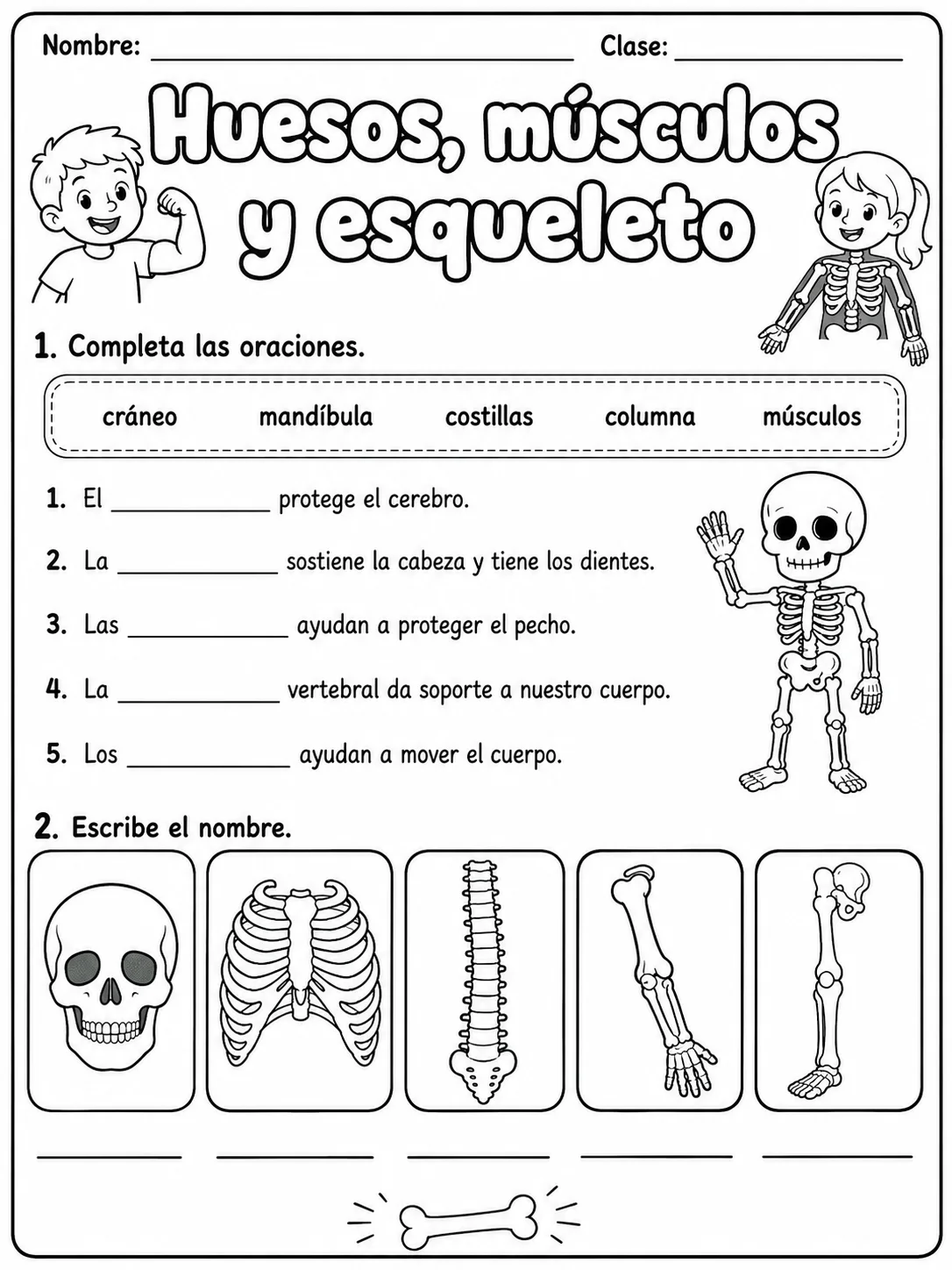 1.º grado - cuerpo humano y salud - Paquete de fichas - Conjunto 4 página 3 vista previa imprimible