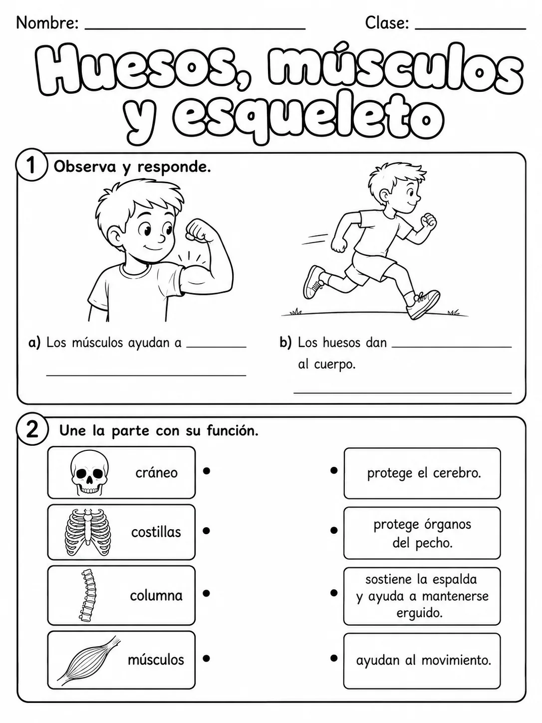 1.º grado - cuerpo humano y salud - Paquete de fichas - Conjunto 4 página 4 vista previa imprimible