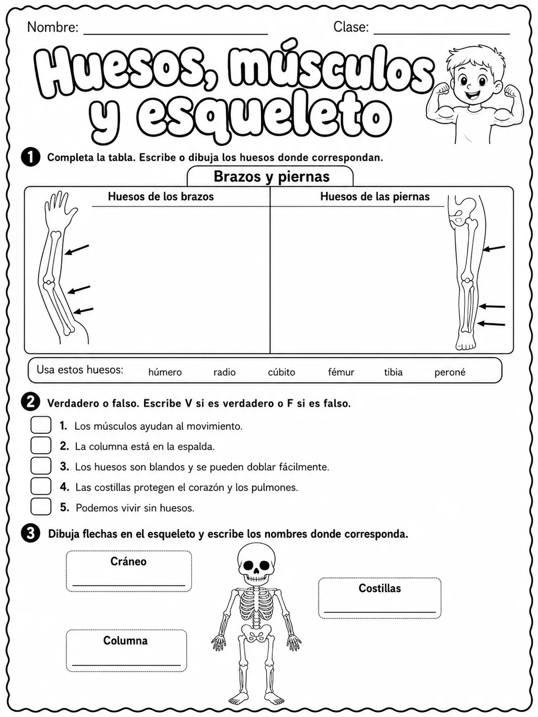 1.º grado - cuerpo humano y salud - Paquete de fichas - Conjunto 4 página 6 vista previa imprimible