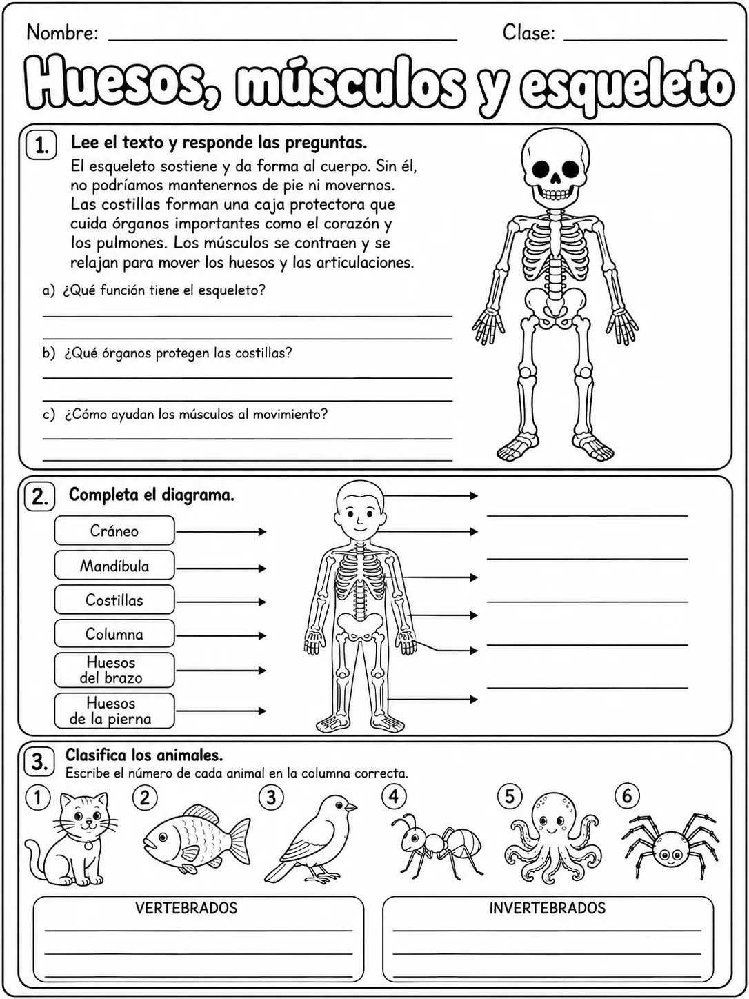 1.º grado - cuerpo humano y salud - Paquete de fichas - Conjunto 4 página 7 vista previa imprimible