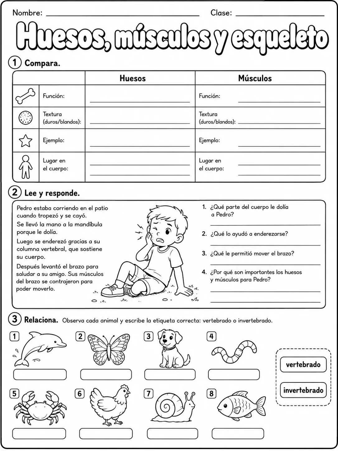 1.º grado - cuerpo humano y salud - Paquete de fichas - Conjunto 4 página 8 vista previa imprimible
