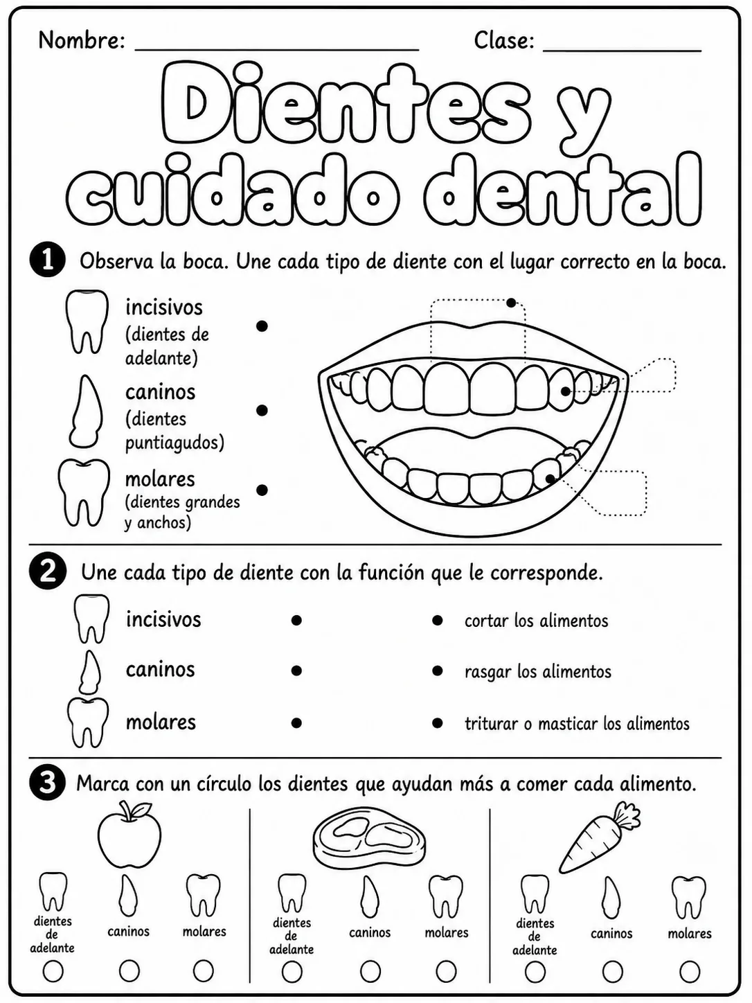1.º grado - cuerpo humano y salud - Paquete de fichas - Conjunto 6 página 5 vista previa imprimible