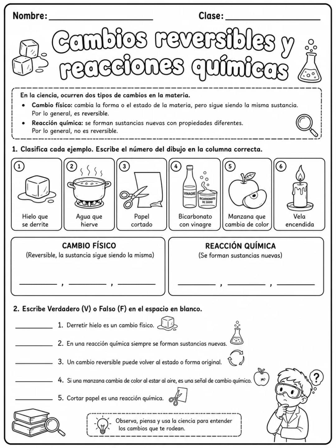 2.º grado - cuerpo humano y salud - Paquete de fichas - Conjunto 2 vista previa imprimible de ciencias en KiwiBee