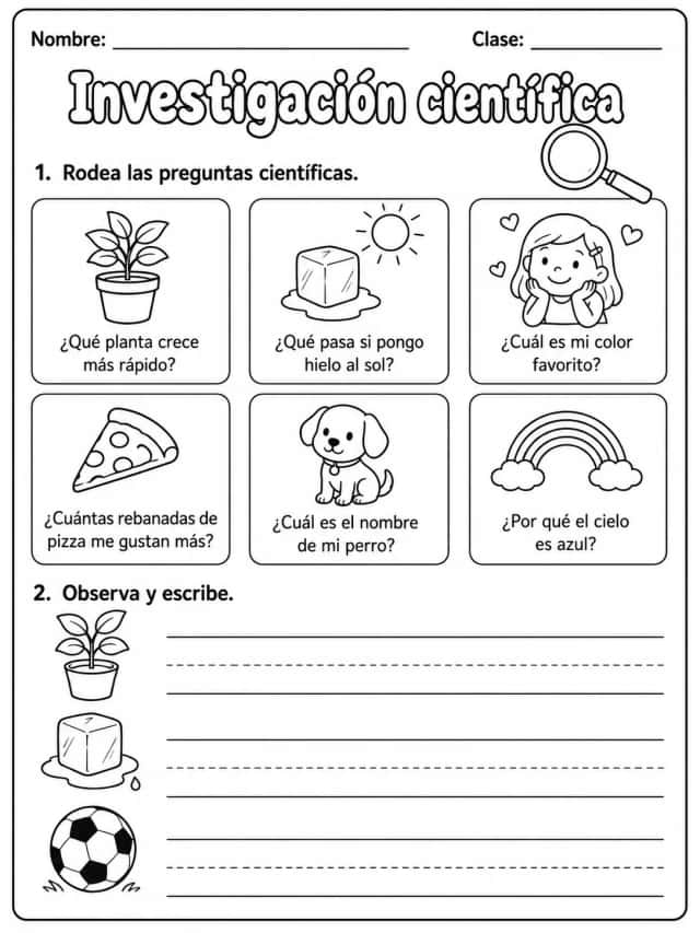 2.º grado - cuerpo humano y salud - Paquete de fichas - Conjunto 3