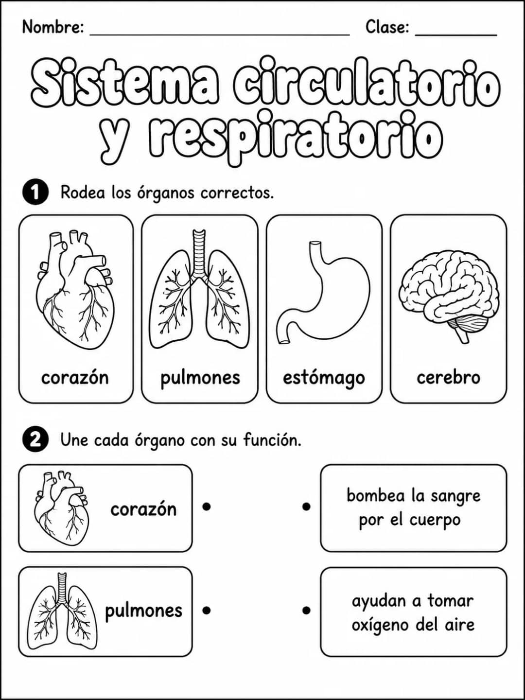 2.º grado - cuerpo humano y salud - Paquete de fichas - Conjunto 4 vista previa imprimible de ciencias en KiwiBee