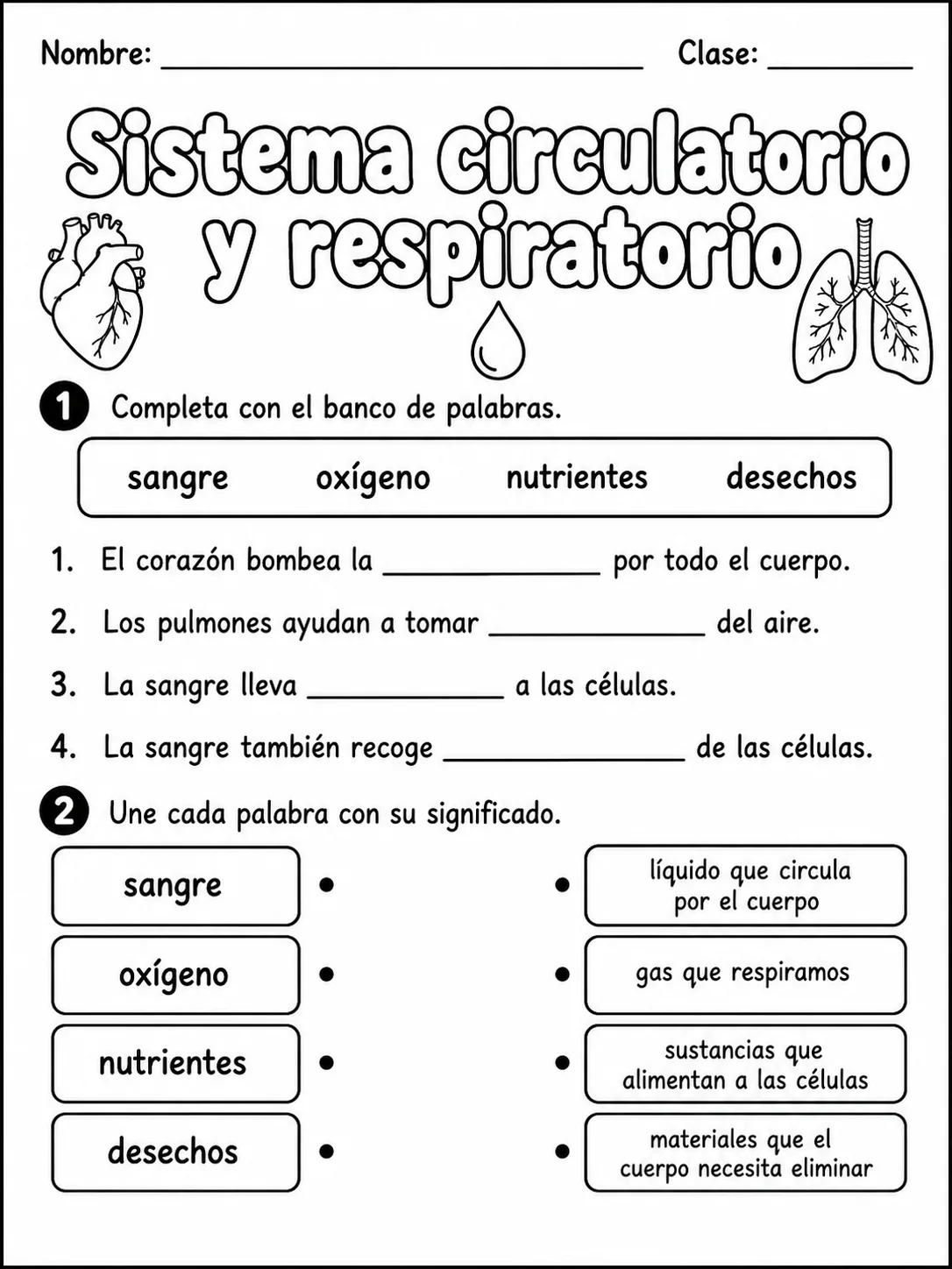 2.º grado - cuerpo humano y salud - Paquete de fichas - Conjunto 4 página 2 vista previa imprimible