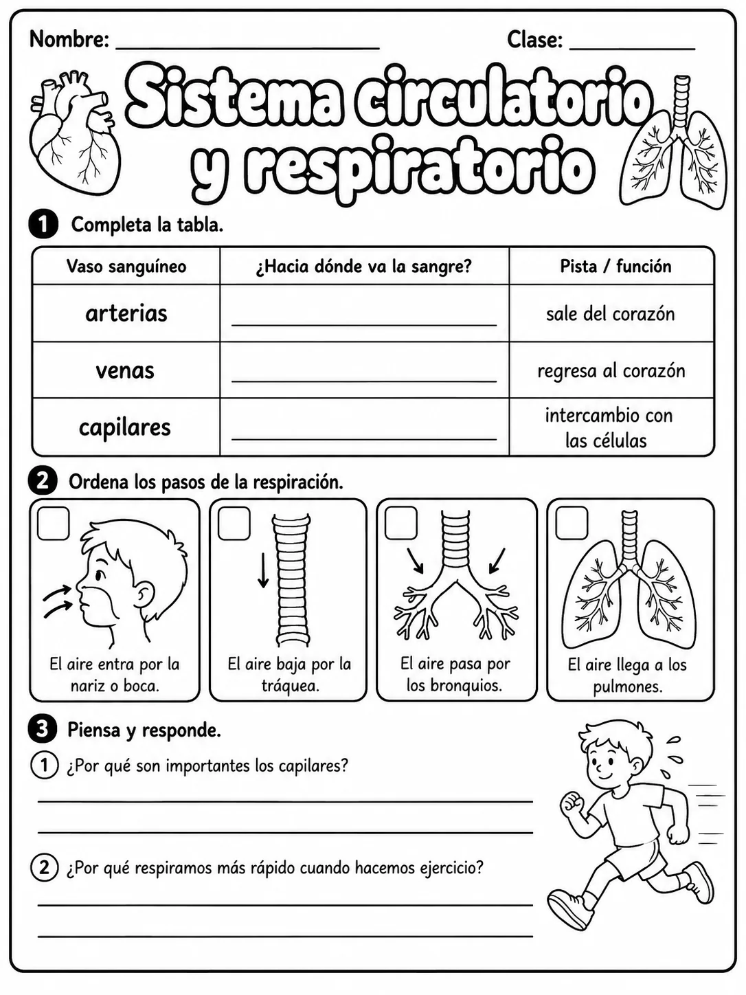 2.º grado - cuerpo humano y salud - Paquete de fichas - Conjunto 4 página 6 vista previa imprimible