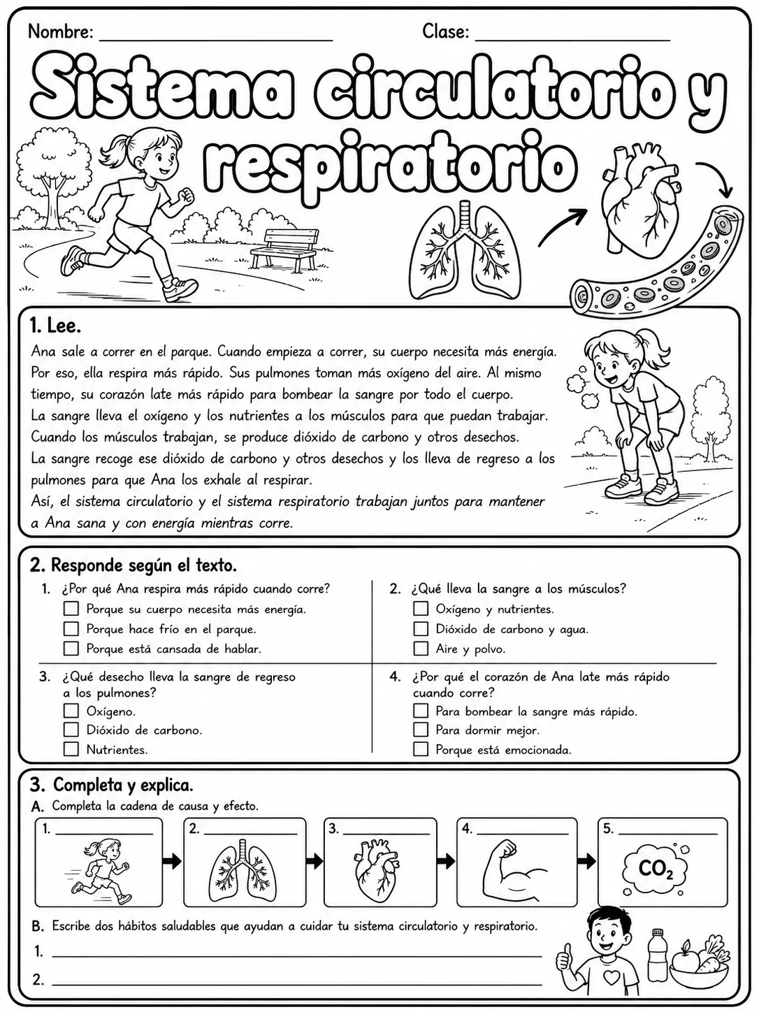 2.º grado - cuerpo humano y salud - Paquete de fichas - Conjunto 4 página 8 vista previa imprimible